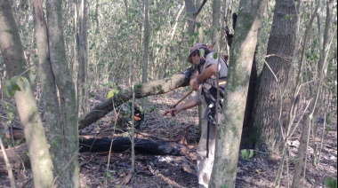 Denuncian intentos de usurpaciones e incendios intencionales en el Parque Pereyra Iraola