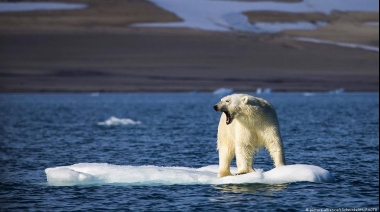 "No hay más tiempo": nueva alerta sobre cambio climático