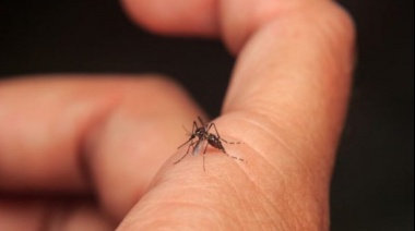 Dengue: podrían importar una vacuna japonesa y señalan que "llama la atención el número de muertos"