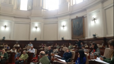 Homenajearon a instituciones de La Plata por su labor en la inundación del 2013