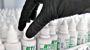 Utilizan un biolarvicida en tres municipios para combatir al mosquito del dengue