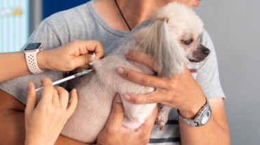 Esta semana, los vecinos de San Carlos podrán vacunar a sus mascotas en distintos puntos de la localidad platense