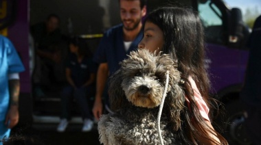 El consultorio veterinario móvil de La Plata estará esta semana en el merendero "Las Hormiguitas" y "Los Bajitos de Tolosa"