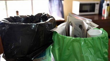 Días y horarios para sacar en La Plata los residuos reciclables en la bolsa verde