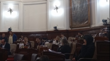El Concejo Deliberante de La Plata reconoció el libro "Con todos, contra todo" sobre la identidad Pincha