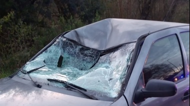 Un automovilista embistió a un caballo en el Camino Centenario de La Plata y tuvo que ser derivado al hospital
