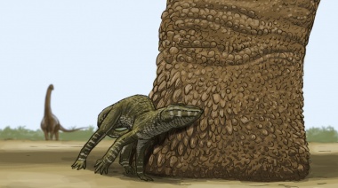 Investigadores encontraron huellas de dinosaurios saurópodos, de entre 30 y 75 centímetros de largo y 20 y 30 de profundidad
