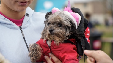 La campaña de vacunación y asistencia veterinaria de La Plata estará presente en distintas localidades durante esta semana