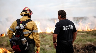 Científicos argentinos desarrollan tecnología para detectar incendios forestales