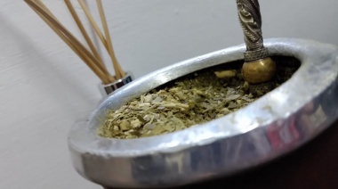 ¿Cómo se produce la yerba mate orgánica?