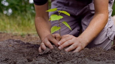 En el marco del Día del Árbol realizarán una "jornada de forestación" en el Parque de Meridiano V°