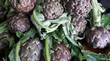 Reprogramaron la Fiesta del Alcaucil Hornense que se iba a realizar este sábado en La Plata