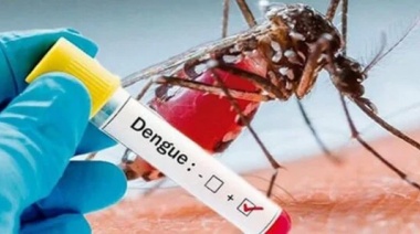 Agentes de la Secretaria de Salud de La Plata trabajan en la concientización y la prevención del dengue