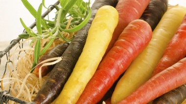 Las zanahorias fueron moradas o amarillas hasta el Renacimiento: cómo cambiaron de color y por qué son beneficiosas para el cuerpo humano