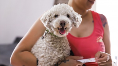 Esta semana habrá jornadas de vacunación y desparasitación gratuita de animales en La Plata