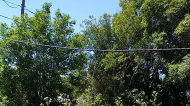 Encontraron muerto a un hombre en Villa Elisa y sospechan que se electrocutó robando cables del tendido público