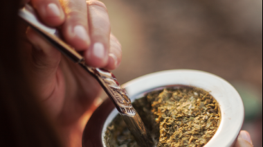Argentina de exportación: el INTI trabaja para llevar la yerba mate a más países