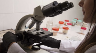 Un equipo de investigadores descubrió presencia de parásitos intestinales en el cordón hortícola de La Plata