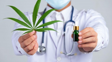 Mitos y verdades del uso del cannabis medicinal