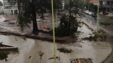 Casi toda Bahía Blanca quedó sin luz por una tormenta que destrozó carteles, árboles, casas y autos