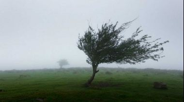 El Servicio Meteorológico Nacional lanzó una alerta naranja por tormentas para el suroeste de la provincia de Buenos Aires