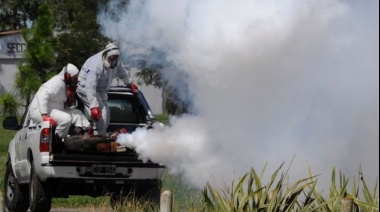 En Berisso la municipalidad advirtió que fumigar "no resulta la estrategia más eficaz para la eliminación de mosquitos"