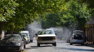 Juntos por el Diálogo Federal de Berisso pidió informes al Municipio sobre sus medidas ante la invasión de mosquitos