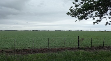 La Cámara Federal de Apelaciones de La Plata habilitó la feria judicial para que se trate un amparo por la ley de tierras
