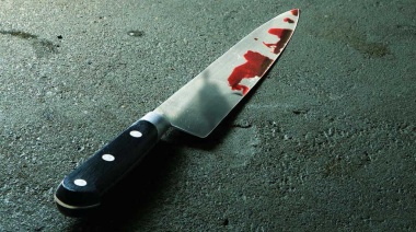 En La Plata una mujer mató a cuchillazos a su esposo, que la había arrojado un machete a la cara