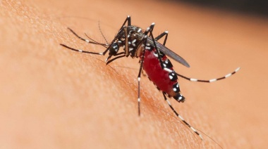 Este viernes fumigarán contra el mosquito en Tolosa, San Carlos y Poblet