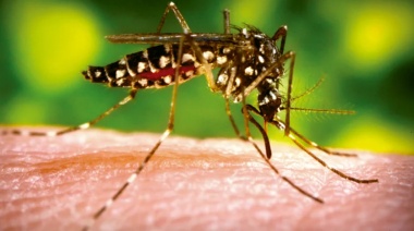 Falleció una persona por dengue en La Plata