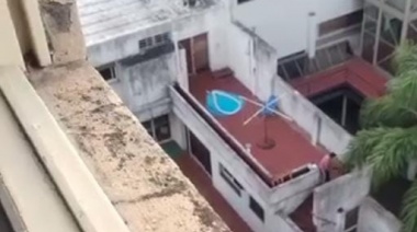 Video: Vecinos de La Plata denunciaron a un hombre por dispararle balinazos a los gatos