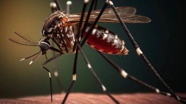 Capacitaron a los responsables de los CAPS en La Plata sobre el mosquito Aedes aegypti