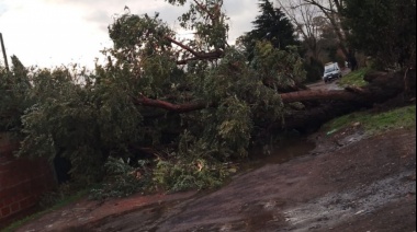 La protesta con corte en la subida a la Autopista en La Plata se suspendió por el impacto de la tormenta