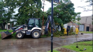 Tormenta en La Plata: las mayores precipitaciones se registraron en Villa Elvira, El Peligro y Tolosa