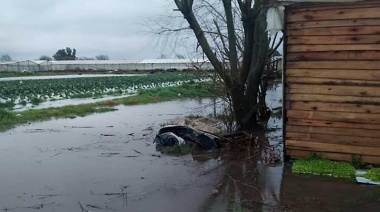 Preocupación por el impacto ambiental en el cordón flori-fruti-hortícola de La Plata