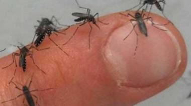 Qué es lo que hay que tener en cuenta para evitar contagiarse de dengue