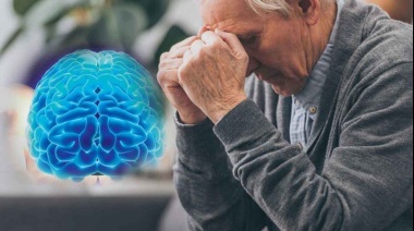Investigadores argentinos lograron patentar en Israel un desarrollo para tratar el alzheimer y el parkinson