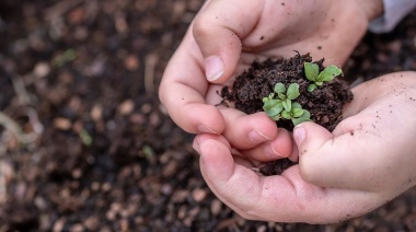 Abrió la inscripción para realizar un curso gratuito de huerta orgánica en La Plata
