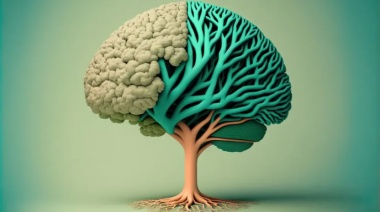 Una legisladora trabaja para incorporar a la inteligencia emocional en el sistema educativo bonaerense