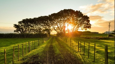 Sector agro: la importancia de contar con tanques de agua