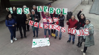 Ante el comienzo de las obras en la Plaza San Martin de La Plata, organizaciones advierten por la "pérdida del diseño histórico e identitario"