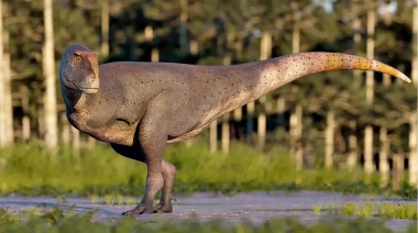 Paleontólogos del CONICET descubrieron una nueva especie de dinosaurio carnívoro que habitó la Patagonia