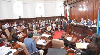 Del consenso por los adoquines a los cruces por las 5 mil toneladas de mercadería retenida, el Yin y el Yang del Concejo Deliberante de La Plata