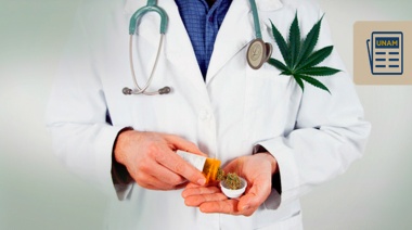 Científicos de la Universidad Nacional de la Plata lograron avances en el uso medicinal del cannabis