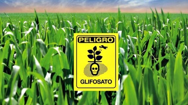 Hallaron más de 80 agrotóxicos en una investigación sobre alimentos que se consumen en toda la Argentina
