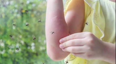 Continúan los operativos contra los mosquitos en La Plata
