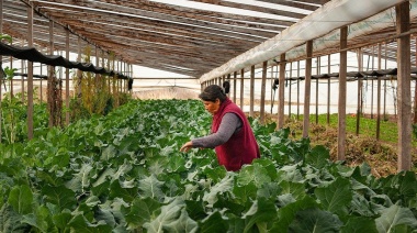 Crearán en La Plata un Instituto Florifrutihortícola del Cordón para relevar las problemáticas de los trabajadores de la agricultura familiar