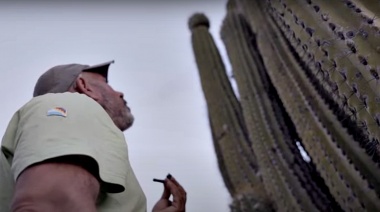 Llega a La Plata el documental Una Marea que se Retira: un viaje a la medicina ancestral de las "plantas sagradas"