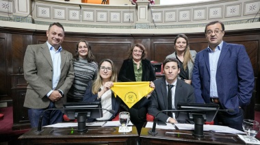 Obtuvo media sanción el proyecto de Flavia Delmonte que declara el 14 de marzo como el Día de la Endometriosis